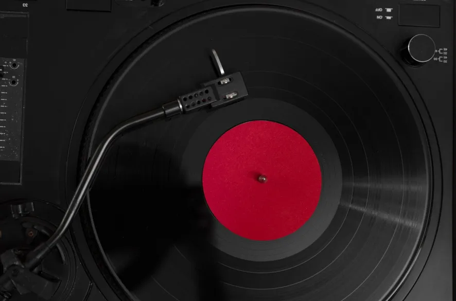 виниловая пластинка виниловая пластинка