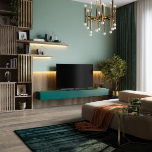 LOEWE BILD I 55 OLED