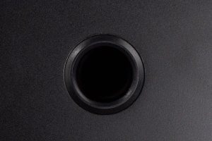 Davis Acoustics The Pledge Light Oak