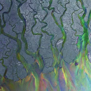 An Awesome Wave
