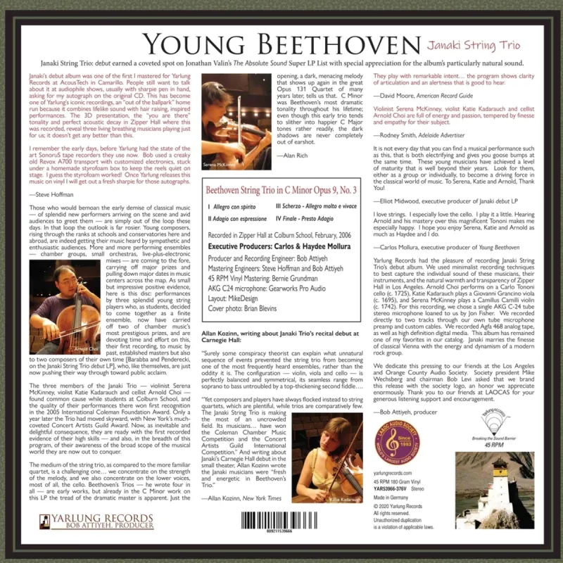 Young Beethoven