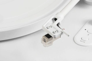 Phaze Audio Diana Siberian white