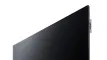 LOEWE BILD V.65 DR+