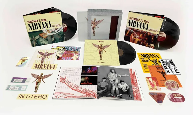 In Utero (30th Anniversary Box Set)