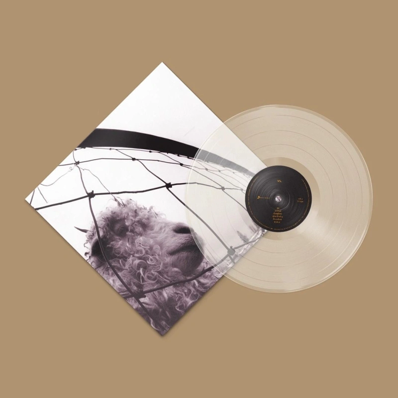 Vs. (30th Anniversary Clear Vinyl)