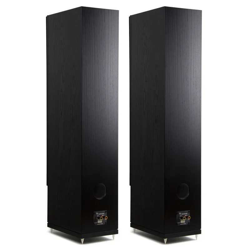 Radiotehnika Gamma 3.03 Black