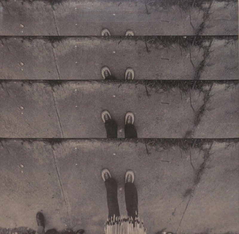 3614 Jackson Highway (Clear & Purple Mixed Vinyl)