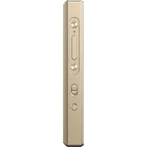 FiiO M21 Titanium Gold