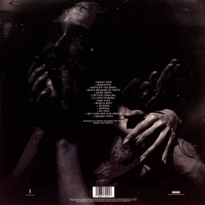 We Are Not Your Kind