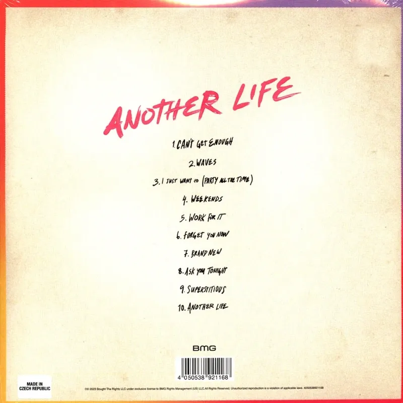 Another Life (LP)