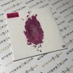 The Pinkprint