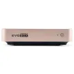 Evobox Gold