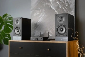 Radiotehnika S-20N Black Ash