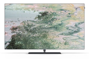 LOEWE BILD I 65 OLED