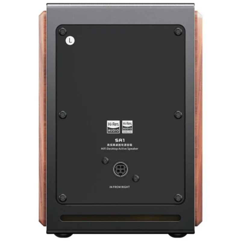 FIIO SA1 (F3053S) Twilight Black