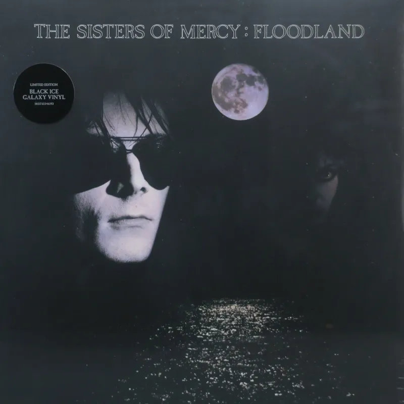 Floodland (Black Ice Galaxy Vinyl)