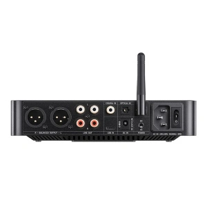 FIIO K13 R2R (F3082K) black