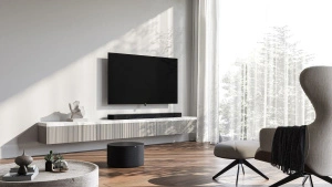 LOEWE BILD I 55 OLED