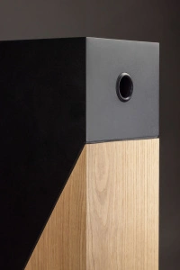 Davis Acoustics The Pledge Light Oak