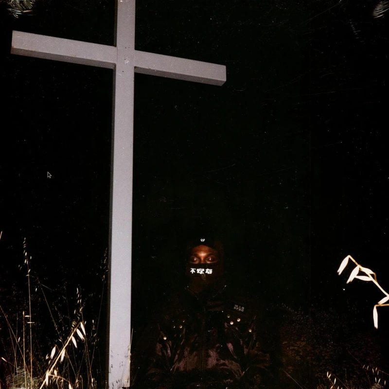 I Lay Down My Life For You