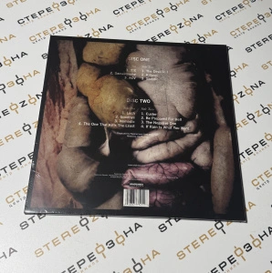 .5: The Gray Chapter