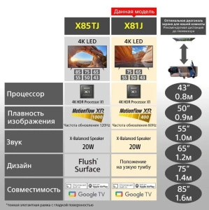 Sony KD55X81J