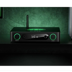 FIIO K13 R2R (F3082K) black