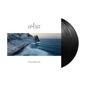 True North