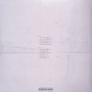 Nothing Remains The Same (Silver Vinyl)