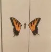 Brand New Eyes