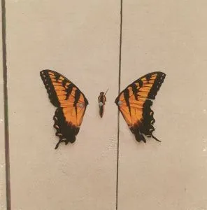 Brand New Eyes