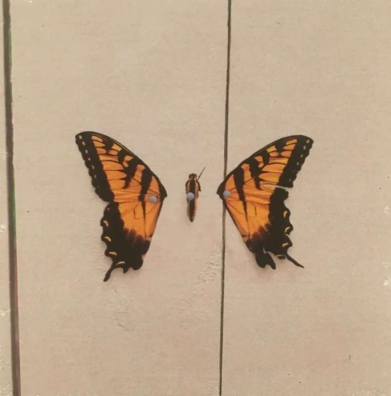 Brand New Eyes