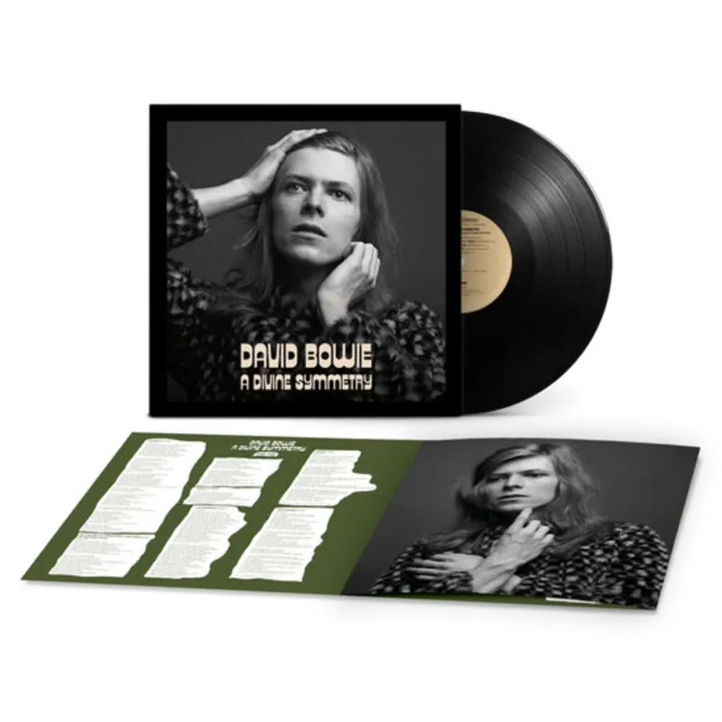 A Divine Symmetry (An Alternative Journey Through Hunky Dory)