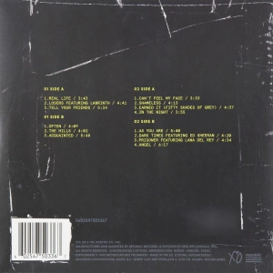 Beauty Behind The Madness