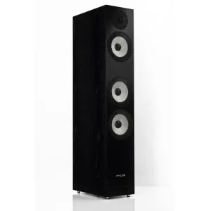 Pylon Audio Ruby 30 Natural Veneer OAK Lacquer Black