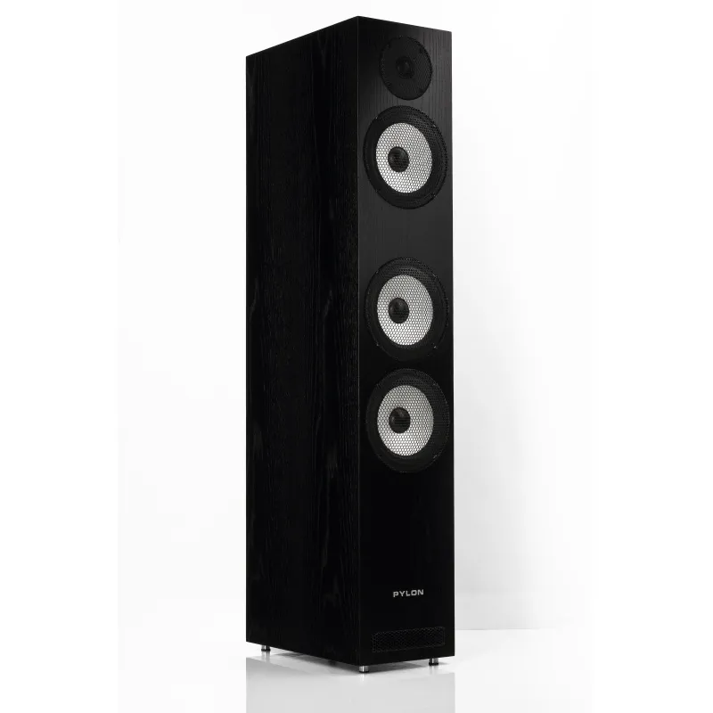 Pylon Audio Ruby 30 Natural Veneer OAK Lacquer Black