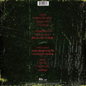 Recovering The Satellites