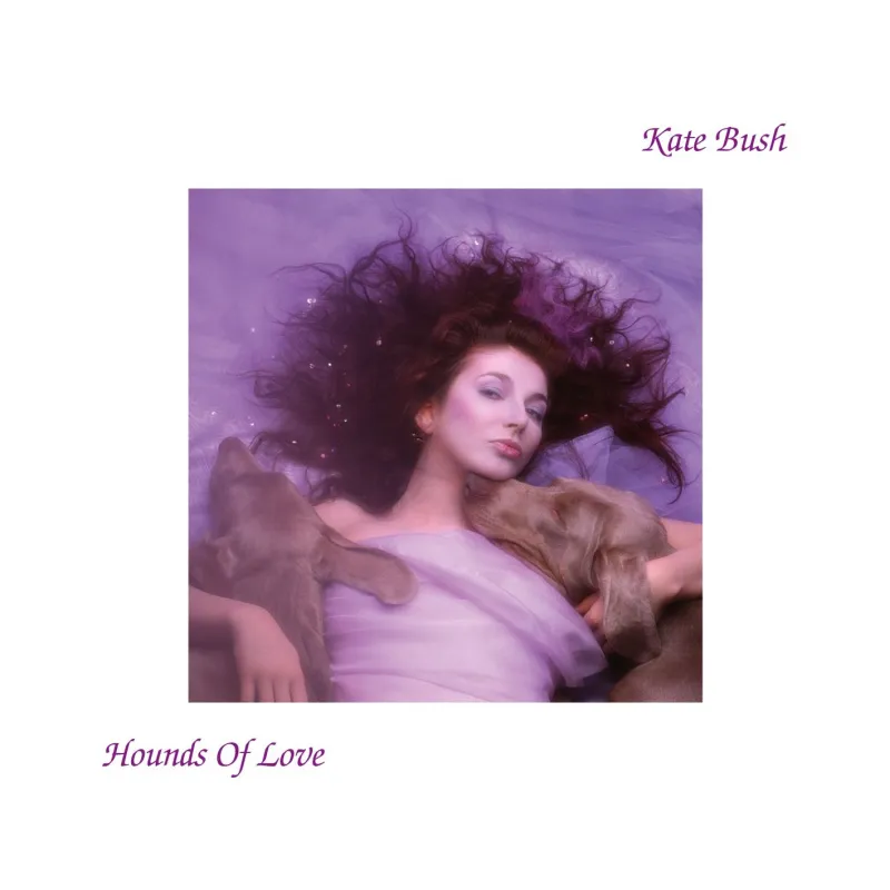 Hounds Of Love