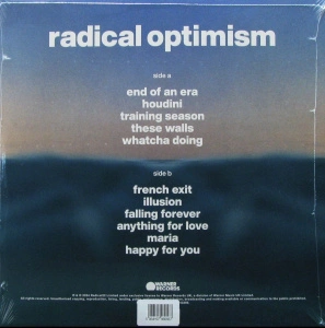 Radical Optimism (Recycled Red Opaque Vinyl) 