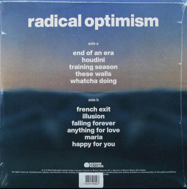 Radical Optimism (Recycled Red Opaque Vinyl) 
