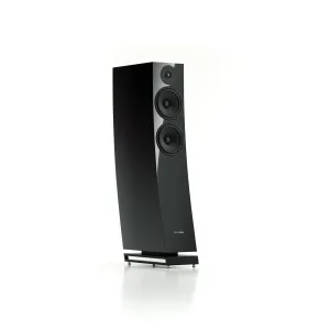 Pylon Audio Jasper 25 MK II Black HG