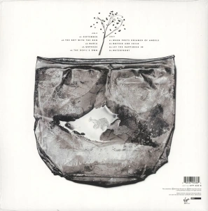 Secrets Of The Beehive