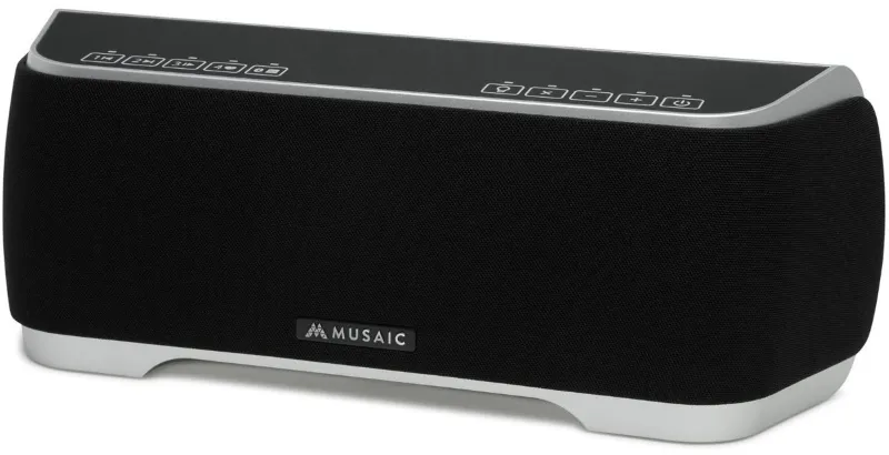 Musaic MP-5