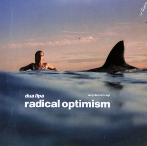 Radical Optimism (Recycled Red Opaque Vinyl) 
