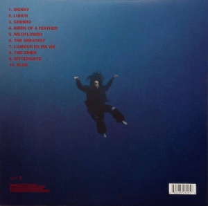 Hit Me Hard And Soft (Coke Bottle Clear Vinyl)