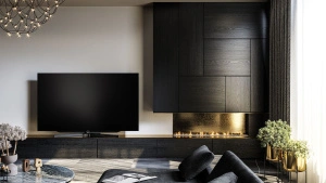 LOEWE BILD S.77 GRAPHITE GREY+WM