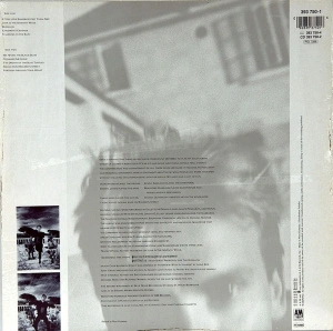 The Dream Of The Blue Turtles