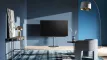 LOEWE BILD V.65 DR+