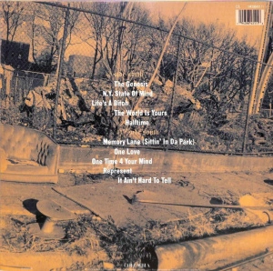 Illmatic (Clear Vinyl)