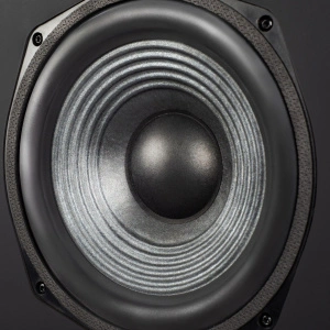 Radiotehnika Sigma 1.01 Black Ash